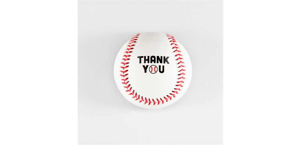Thank you, 2025 team sponsors